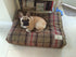 The Scotney Luxury Dog Bed - Small